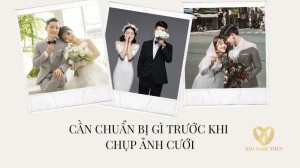 Thiệp cưới online TD06