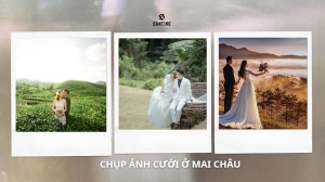 Thiệp cưới online TD08