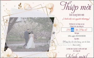 Thiệp cưới online TD16